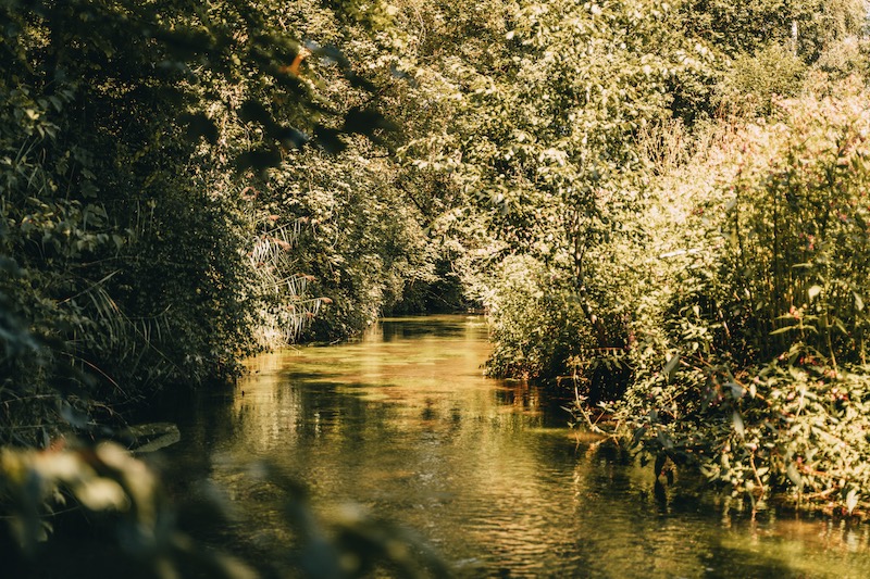 Donau Bayerisch Schwaben