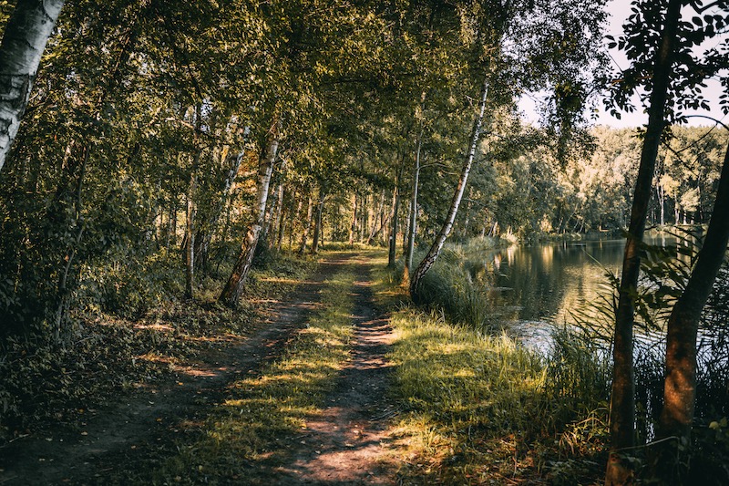 Donauwald Wanderung