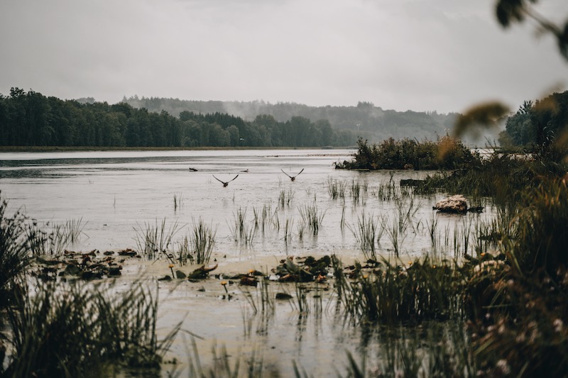 Donauwald Wanderweg Donau Stausee