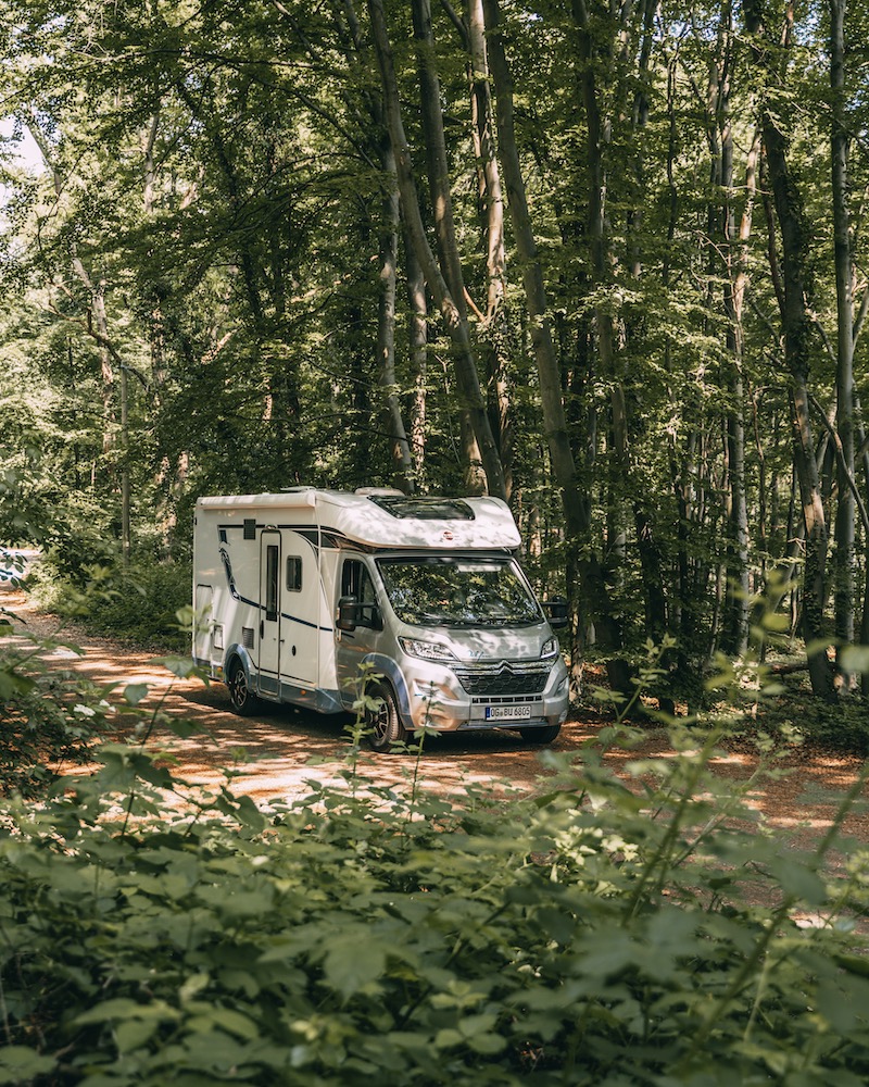Wohnmobil Bürstner Wald
