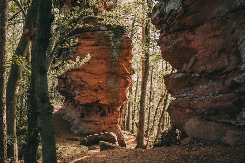 Geiersteine Wanderung Pfälzer Wald