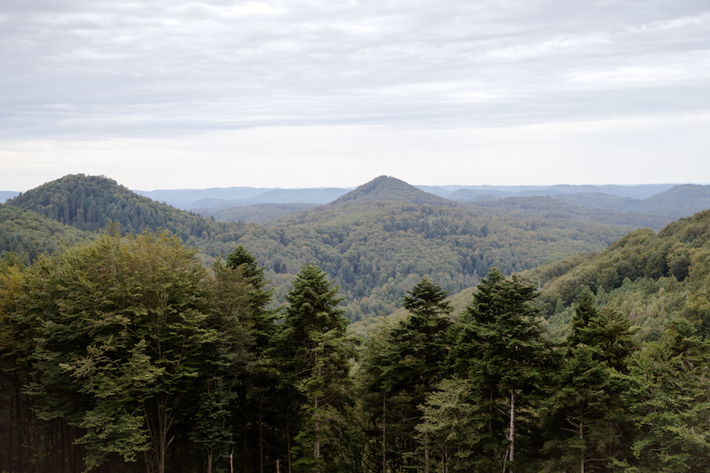 Pfälzer Wald Aussichtspunkt