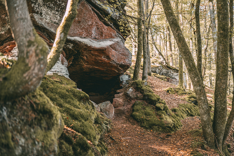 Pfälzer Wald Teufelstisch Wanderung