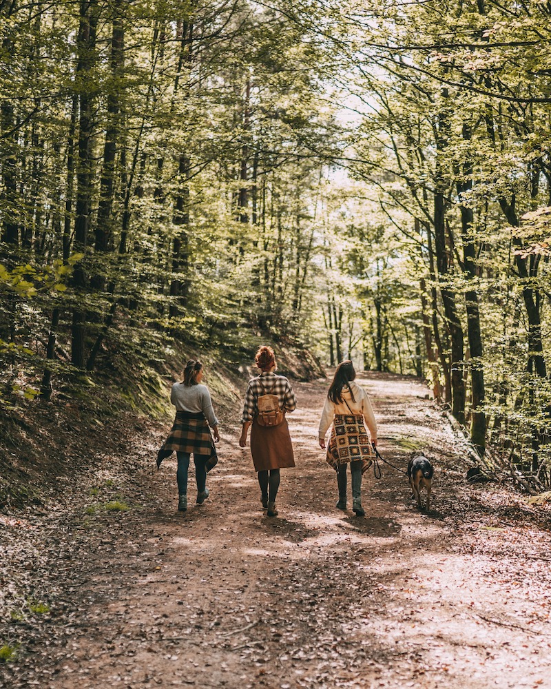 Wandern Waldläufer