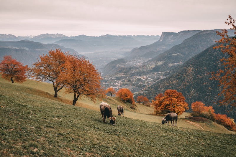 Wandern Lana Südtirol