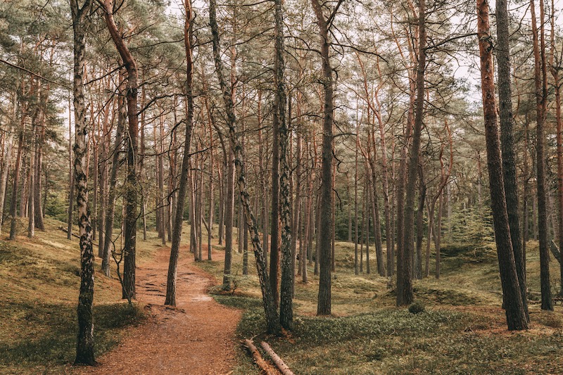 Wollin Nationalpark wandern