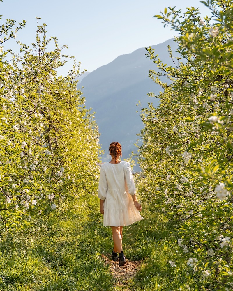 Südtirol Meraner Land Sehenswürdigkeiten