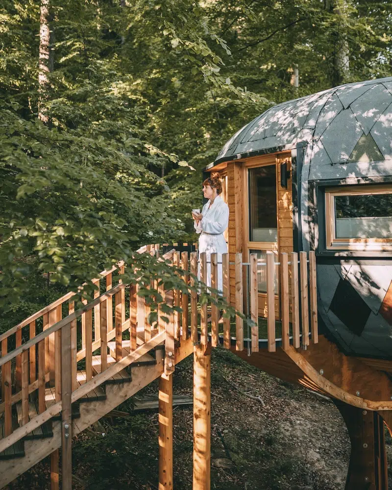 Baumhaushotel im Harz