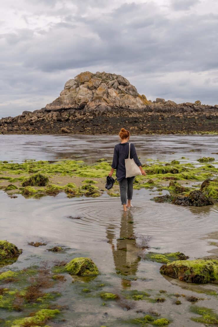 Algenführung in der Bretagne