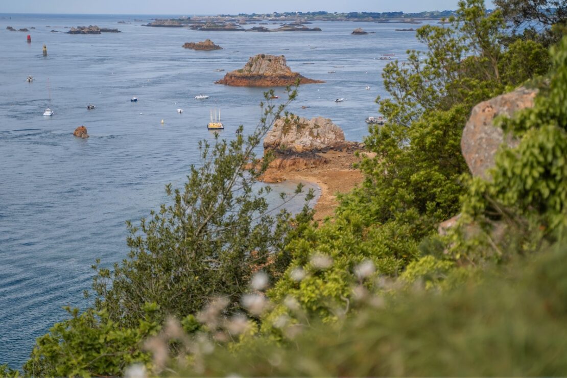 Aussichtspunkt La Roche aux Oiseaux