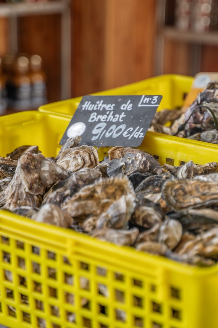 Austernfarm in der Bretagne
