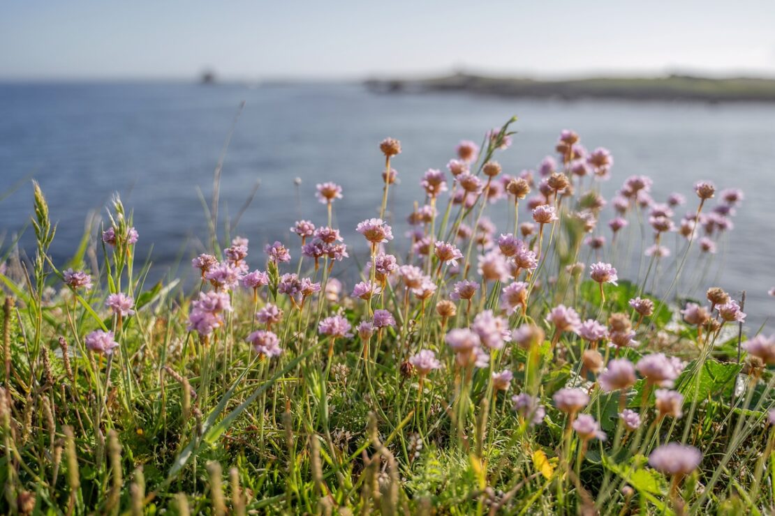 Plage de Sainte Marguerite Bretagne