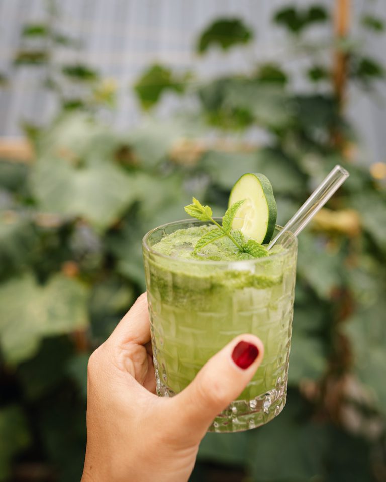 Unsere liebsten Gurken Rezepte: Limonade, Tzatziki, Salat &amp; Co.