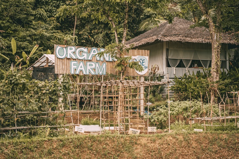 Paradise Koh Yao Organic Farm