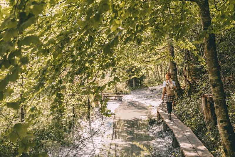 Rheinschlucht Valendas Versam Wanderung