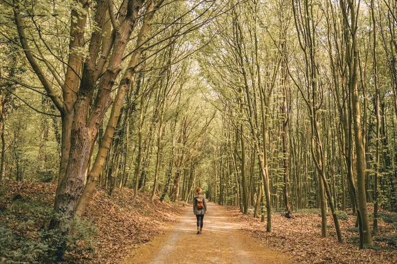 Wanderung Streckelsberg