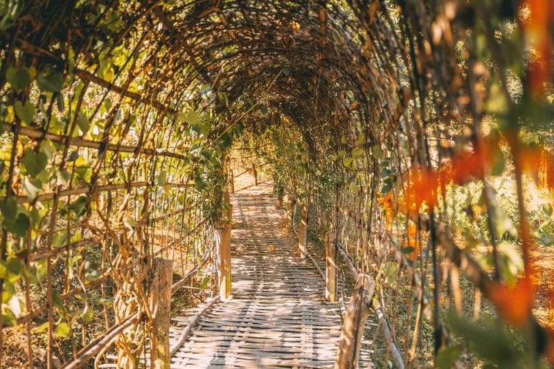 Tunnel Bamboo Bridge