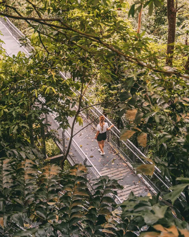 Singapur grünste Stadt Asiens