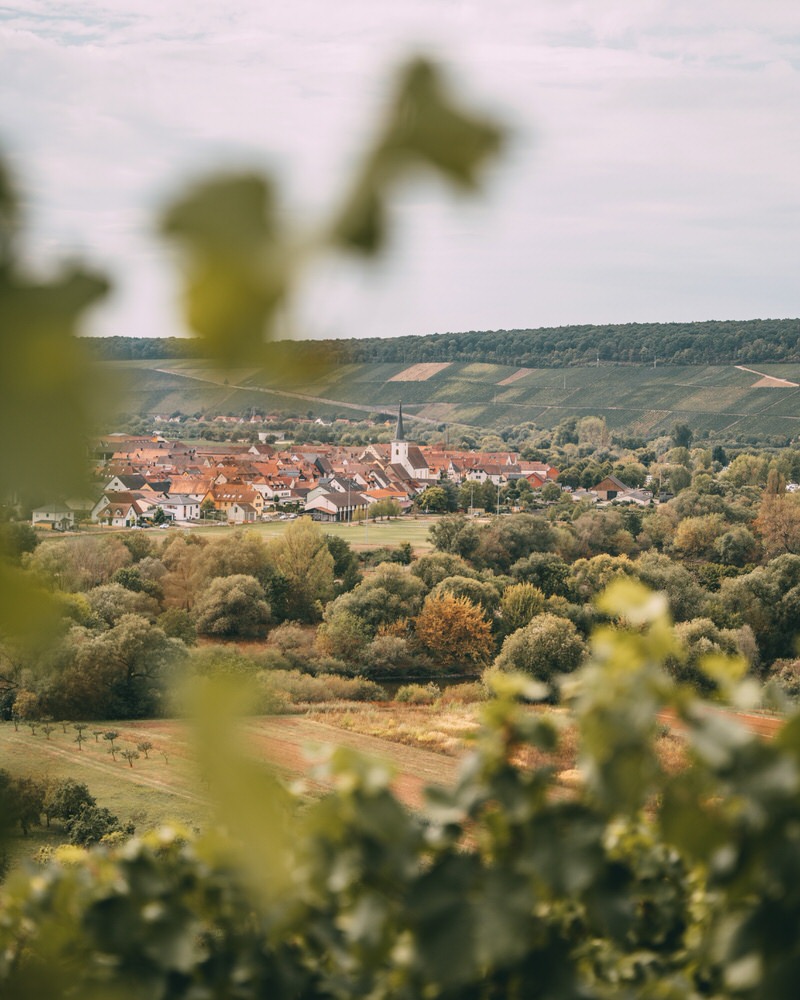 Mainschleife Wanderung