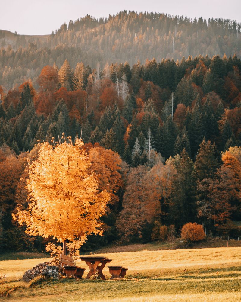 Herbst Reiseziele Allgäu