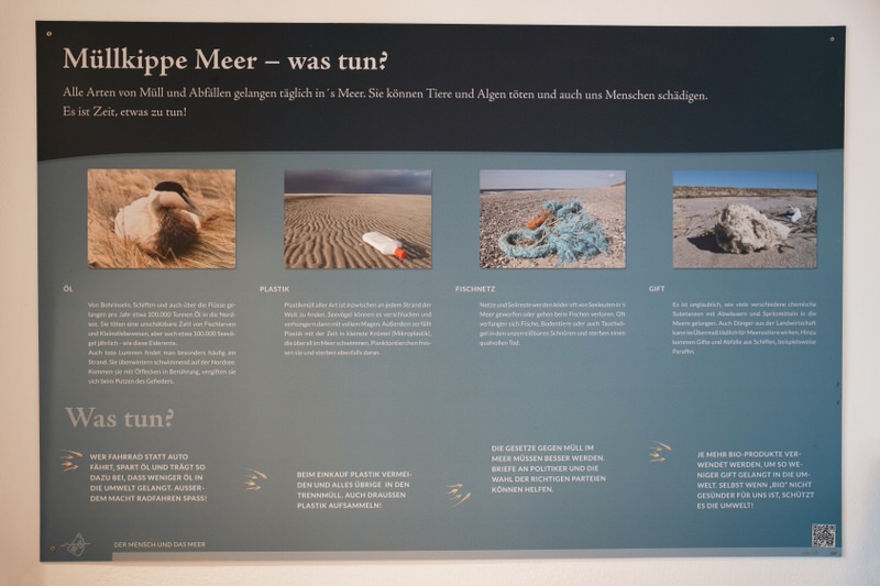 Arche Wattenmeer Klimaschutz auf Sylt