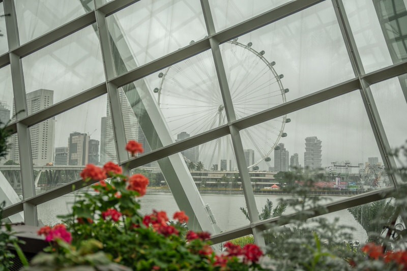 Singapur Sehenswürdigkeiten Flower Dome
