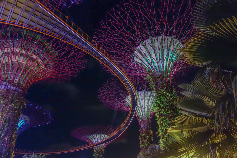 Singapur Sehenswürdigkeiten Super Trees bei Nacht