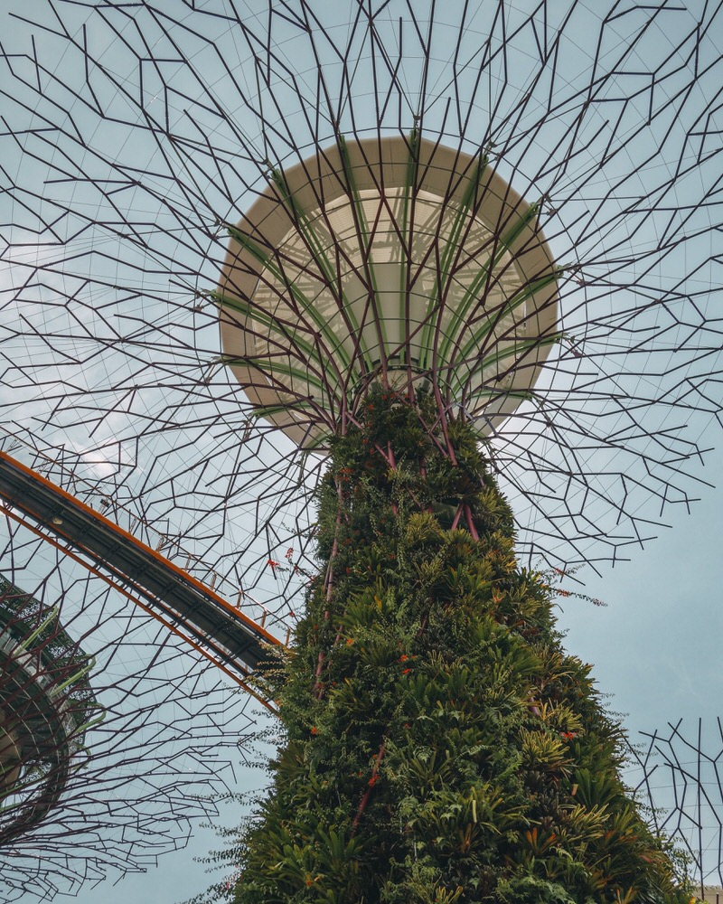 Super Trees Gardens by the Bay Singapur Sehenswürdigkeiten
