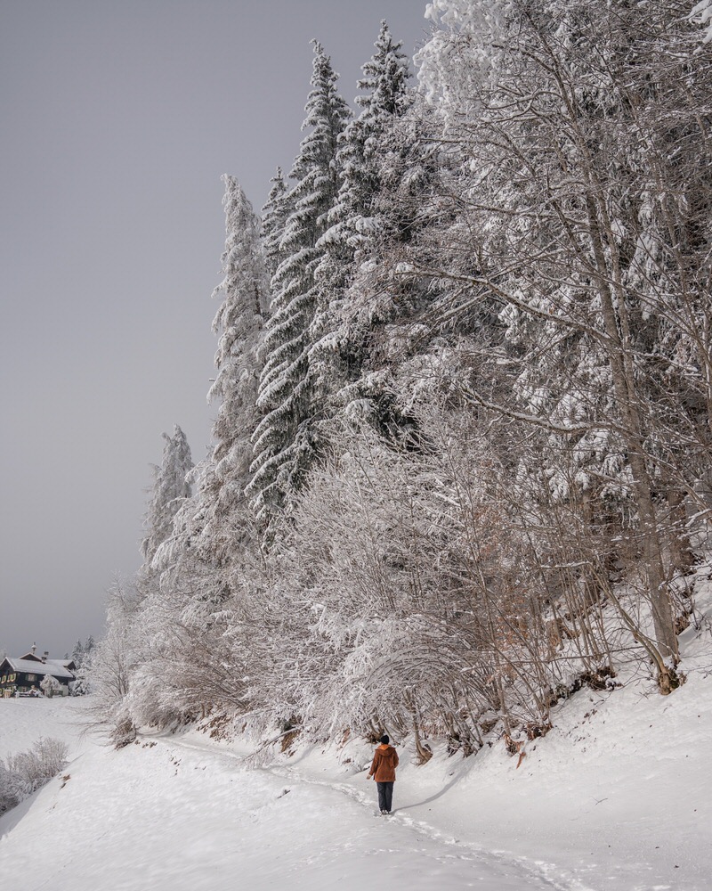 Wandern im Winter Bartholomäberg Montafon