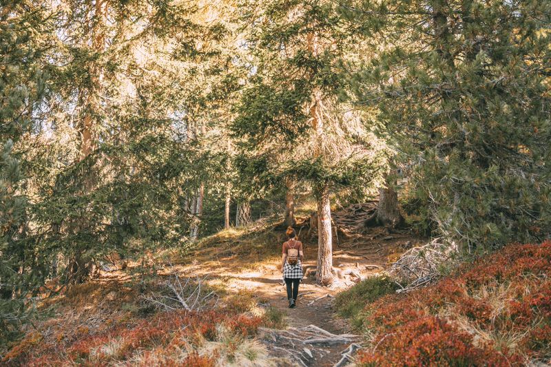 Lüsner Alm Gitschberg Jochtal