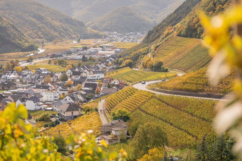 ahrtal-wandern-auf-dem-rotweinwanderweg