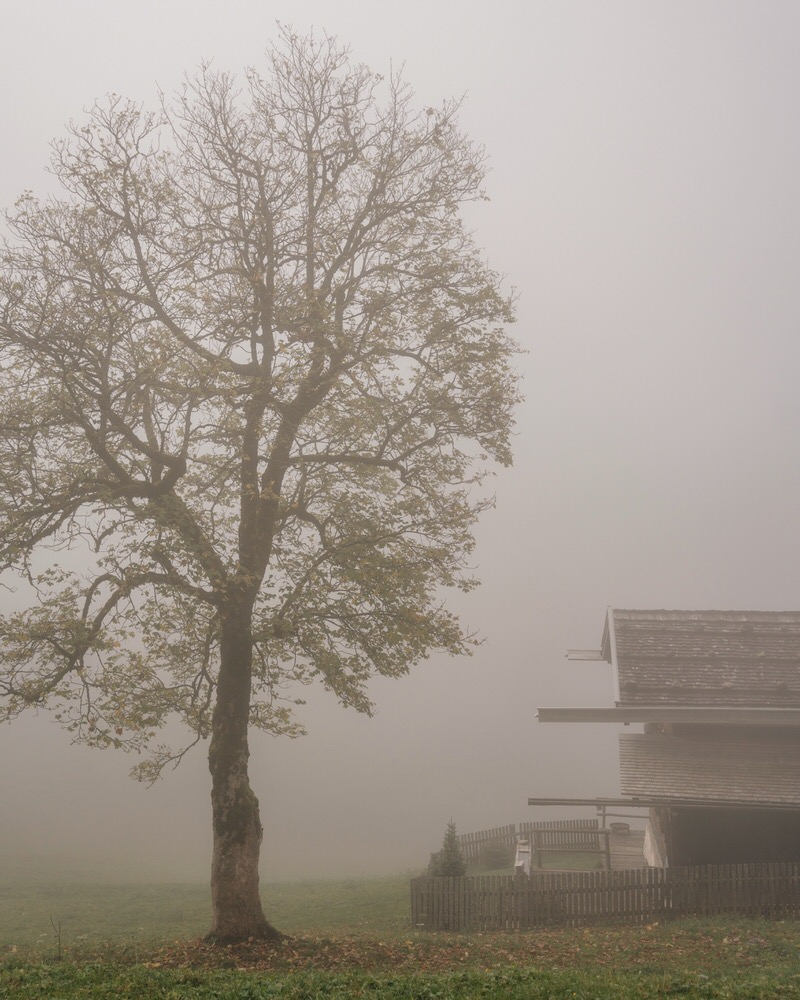 bergdorf-gerstruben-im-nebel