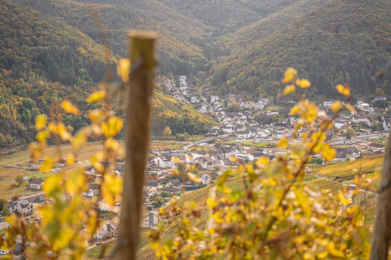 dernau-rotweinwanderweg