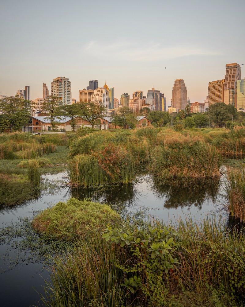 die-besten-bangkok-geheimtipps-benjakitti-park