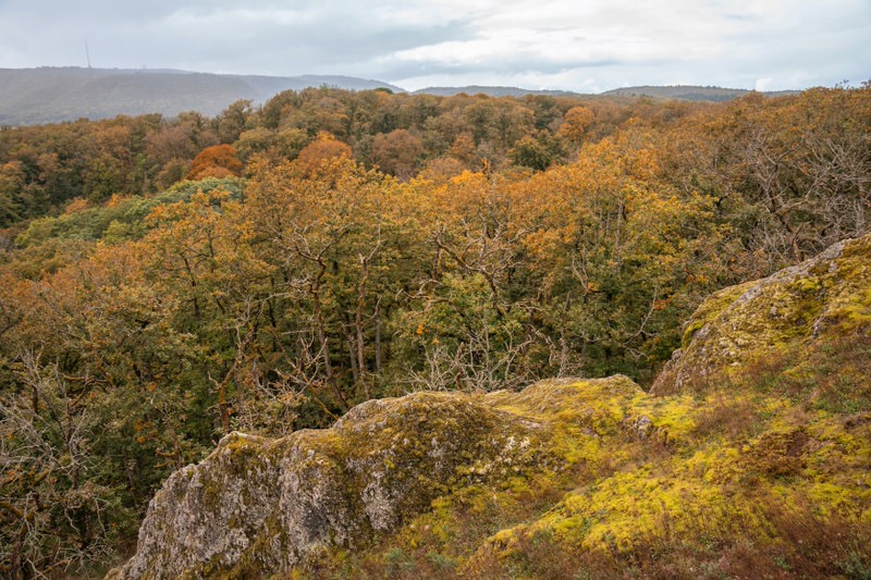 drosselfels-donnersberger-land-pfalz