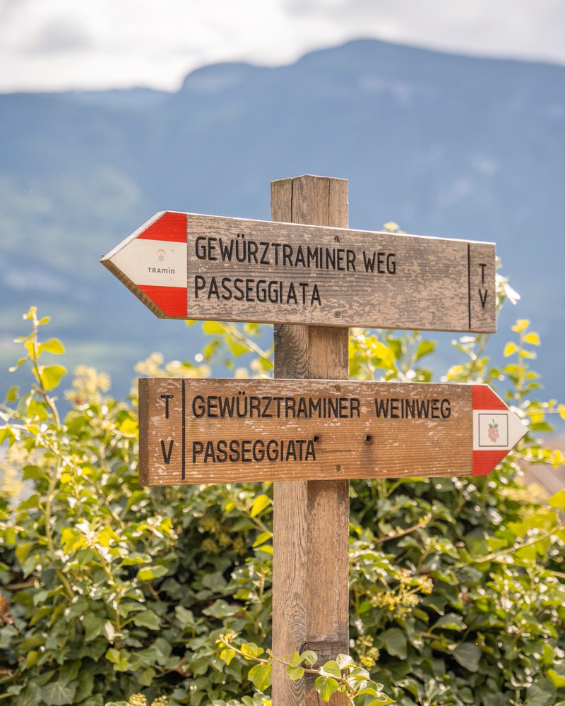 Gewürztraminer Weinweg im Herbst