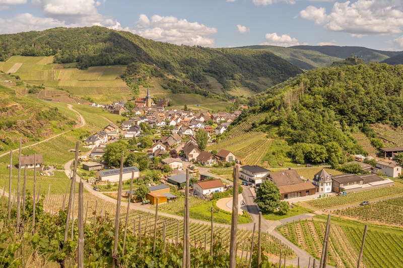 Mayschoss Rotweinwanderweg