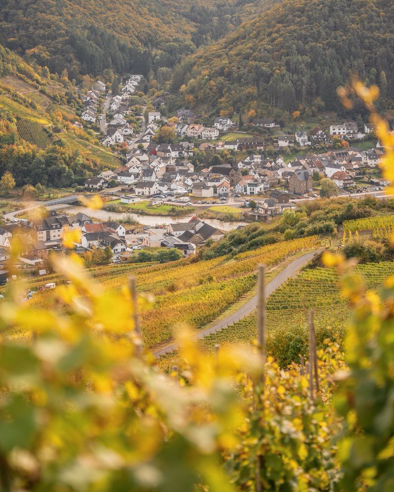 rotweinwanderweg-ahrtal