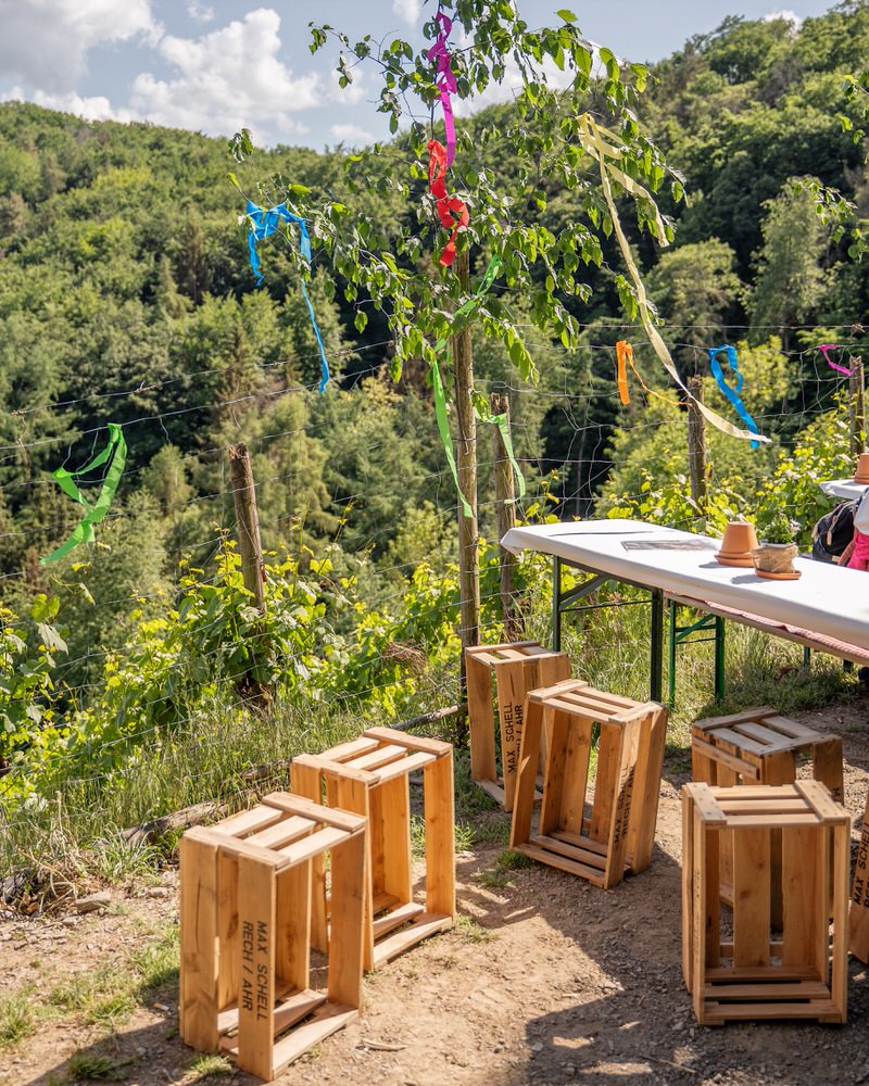 Wandern für den Wiederaufbau Rotweinwanderweg