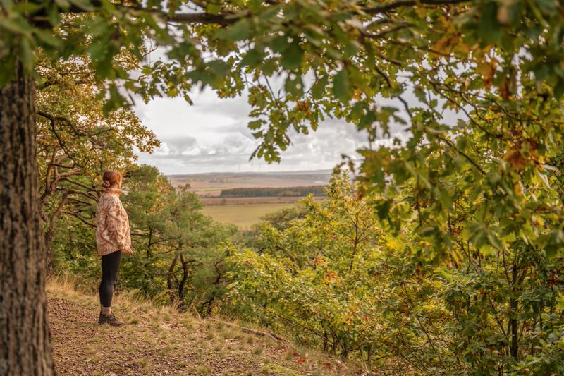 wanderung-schillerhain-donnersberger-land