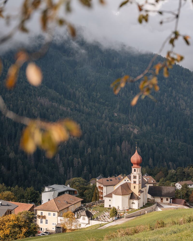 Wanderung von Tiers