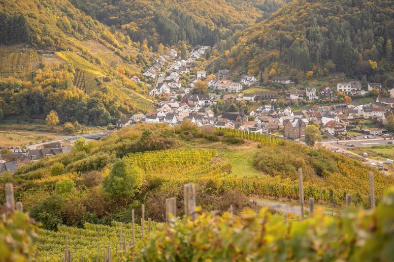 weinwandern-im-ahrtal-rotweinwanderweg