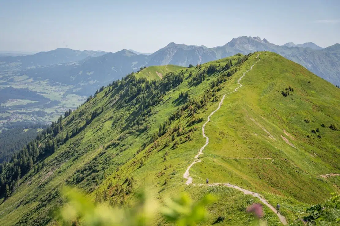 Wandern in Oberstdorf Fellhorngrat