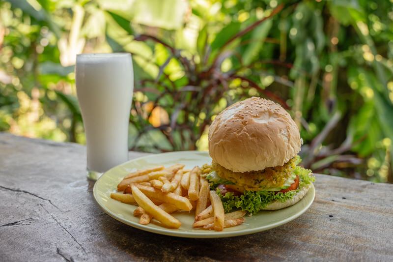 veggie-burger-ronnies-coconut-organic-garden