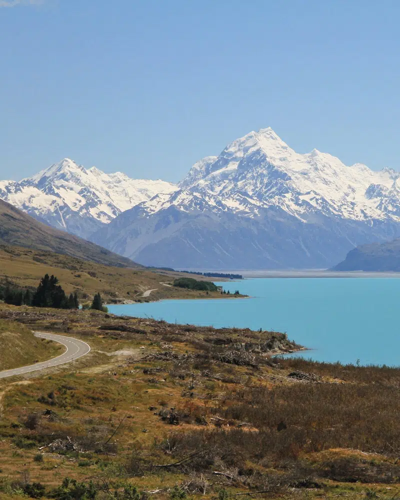 alleine reisen neuseeland