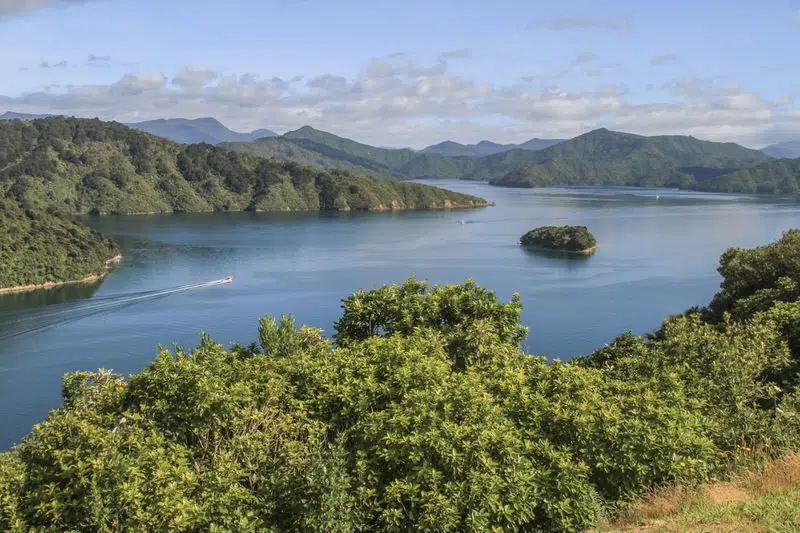 alleine reisen Neuseeland Tipps