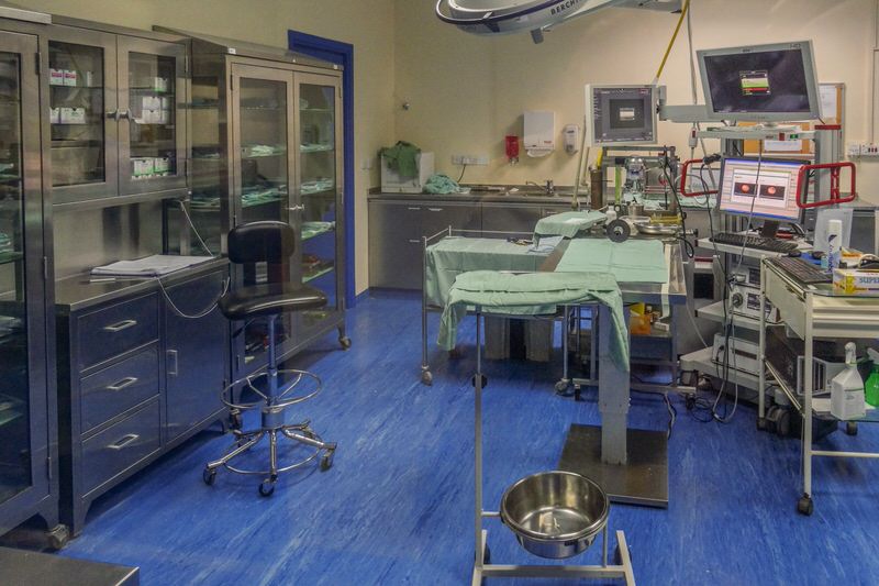 Abu-Dhabi-Sehenswuerdigkeiten-Falkenklinik