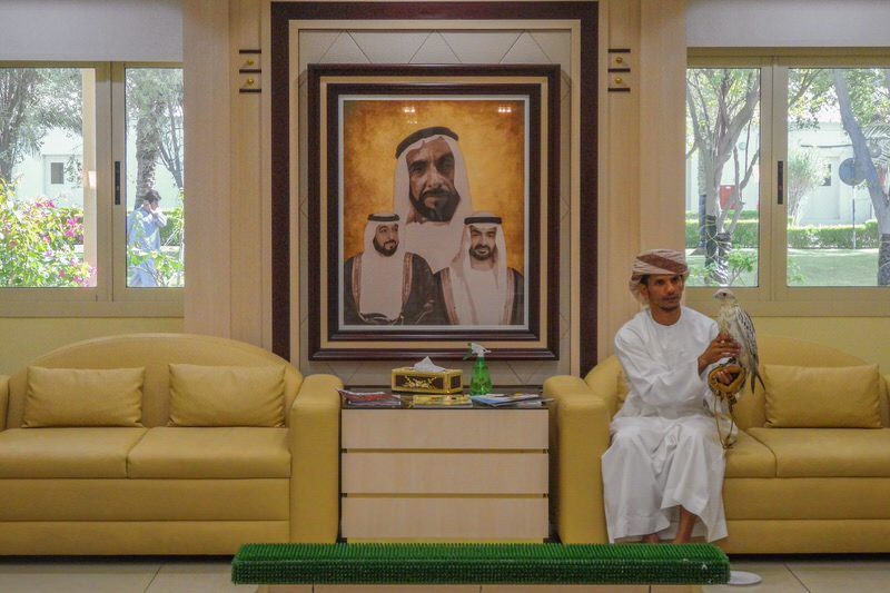 Falkenklinik-Abu-Dhabi-Sehenswuerdigkeiten