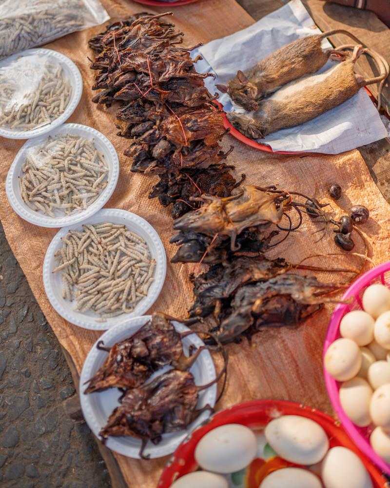 Ratten-auf-dem-Markt-in-Luang-Prabang