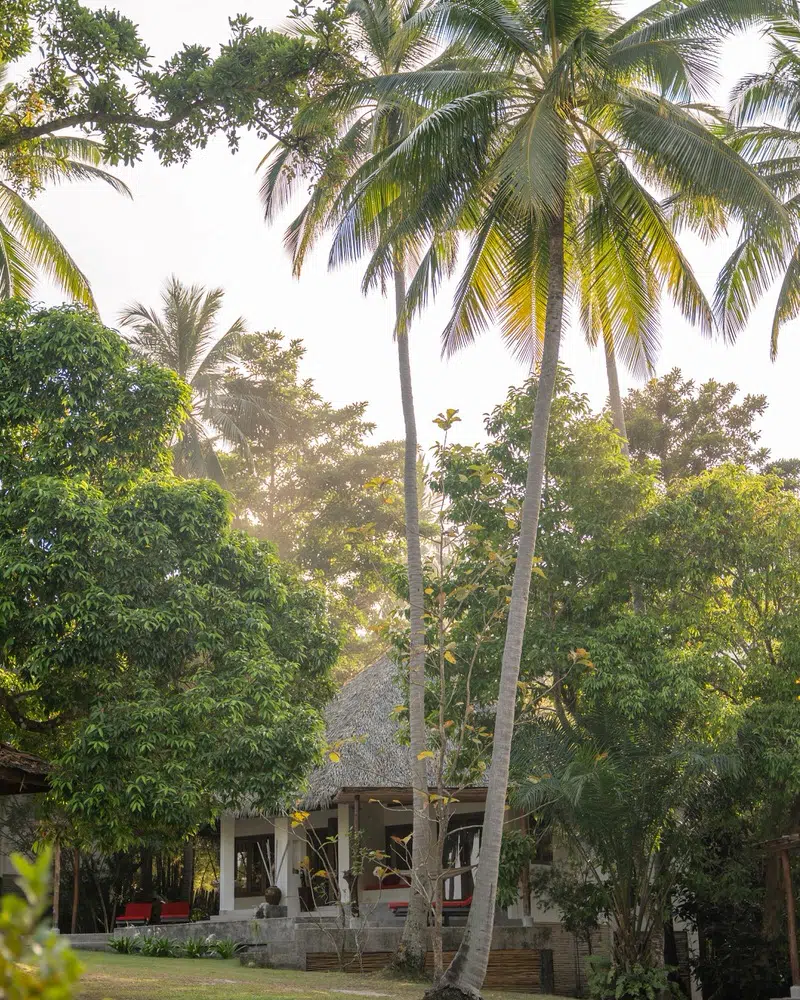 Jungle-Club-Bungalow-Koh-Samui-Tipps